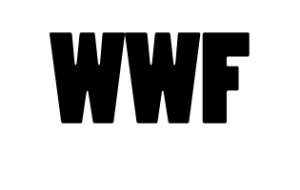 client-2-1